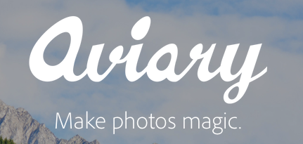 Aviary Integration in Squarespace