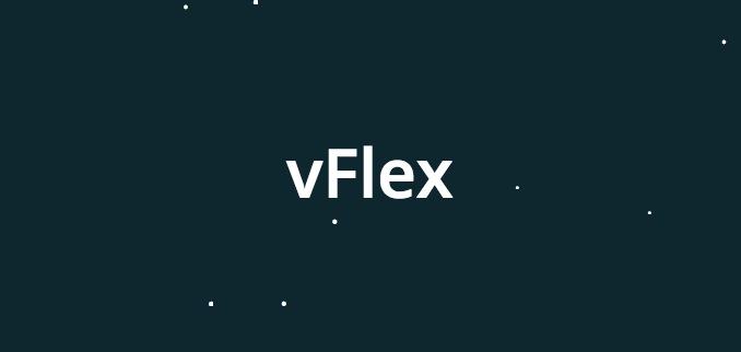 the vFlex Template