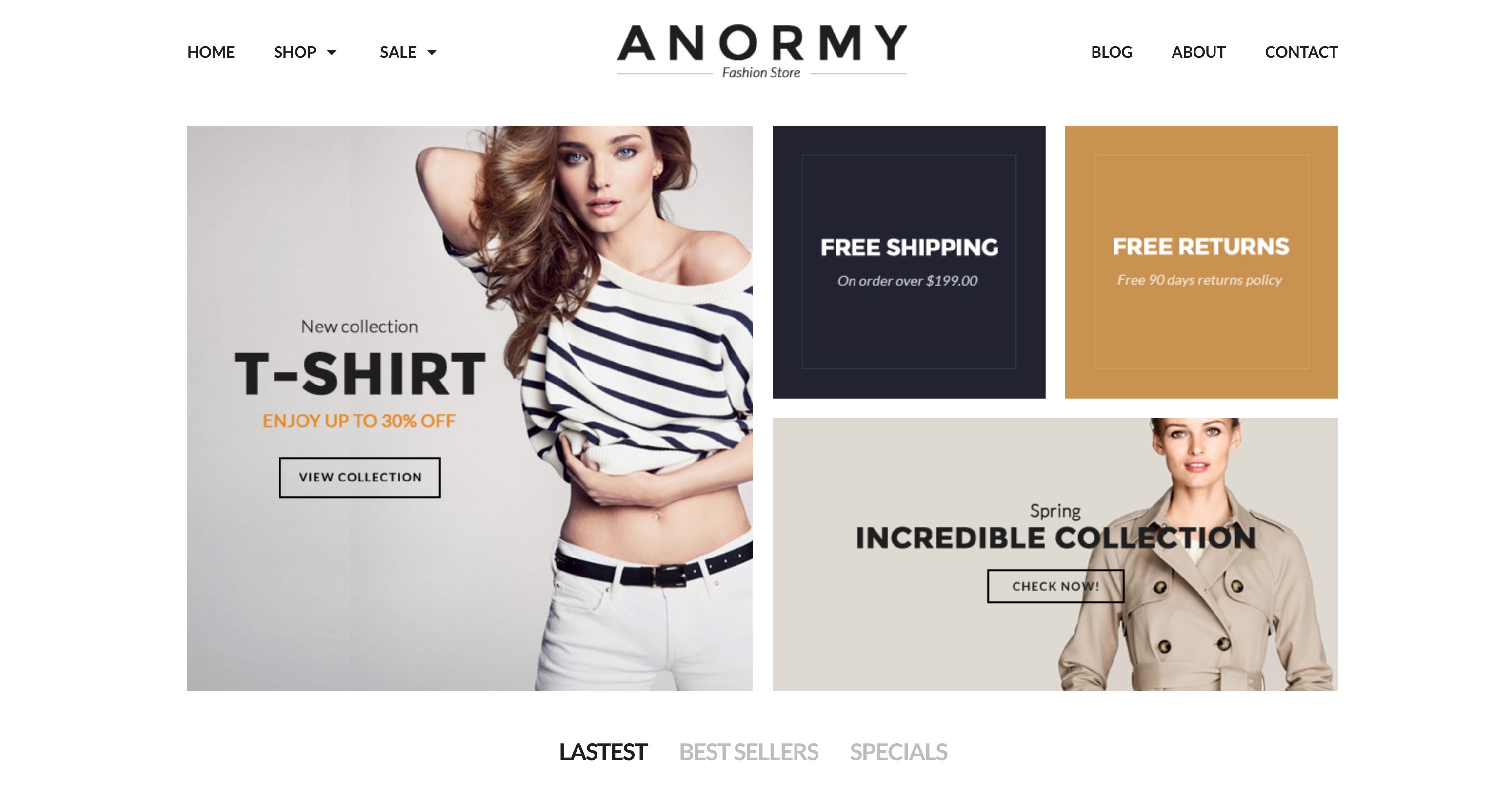 Anormy - Flexible Shopify Template