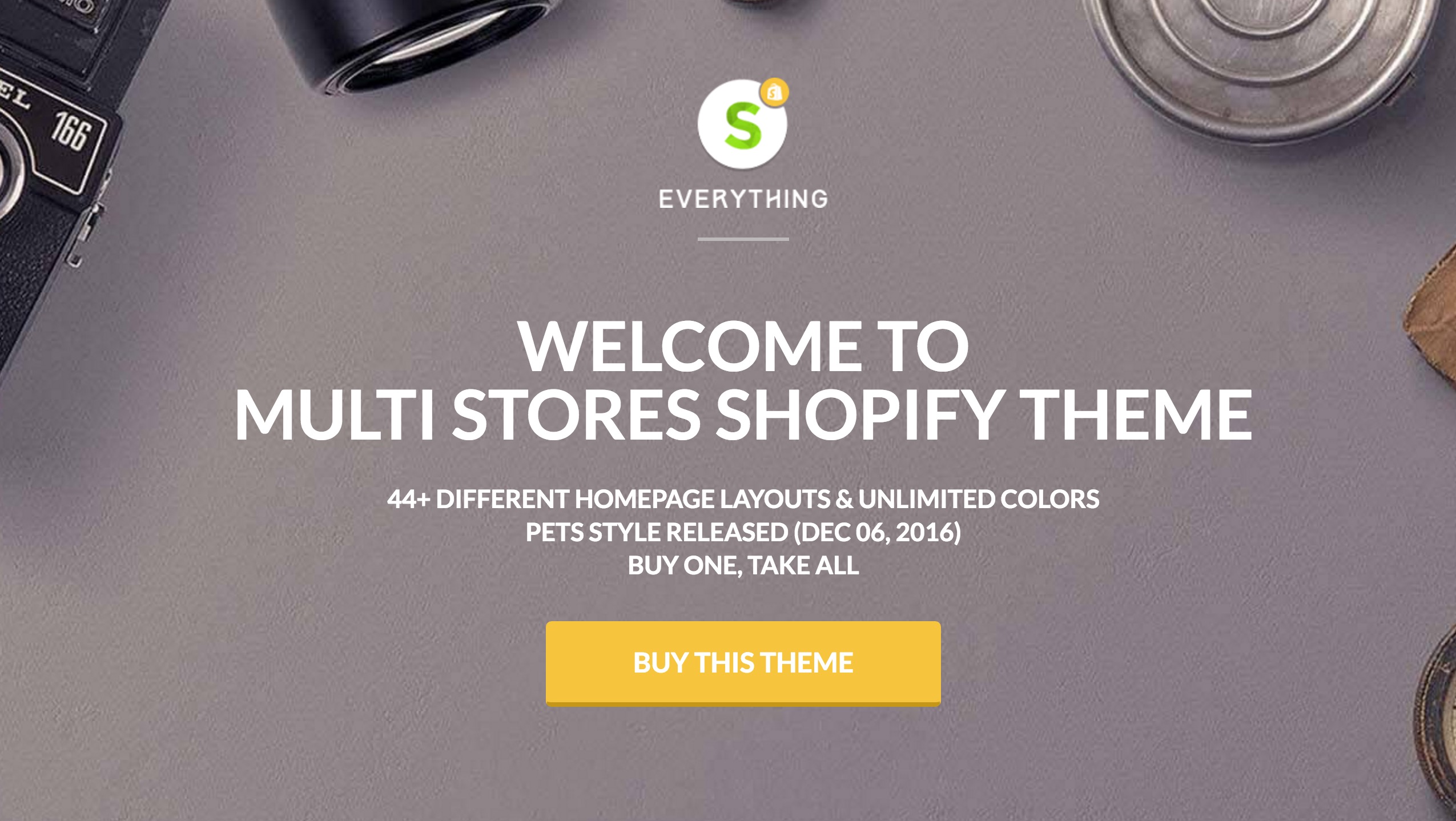 Everything Shopify theme
