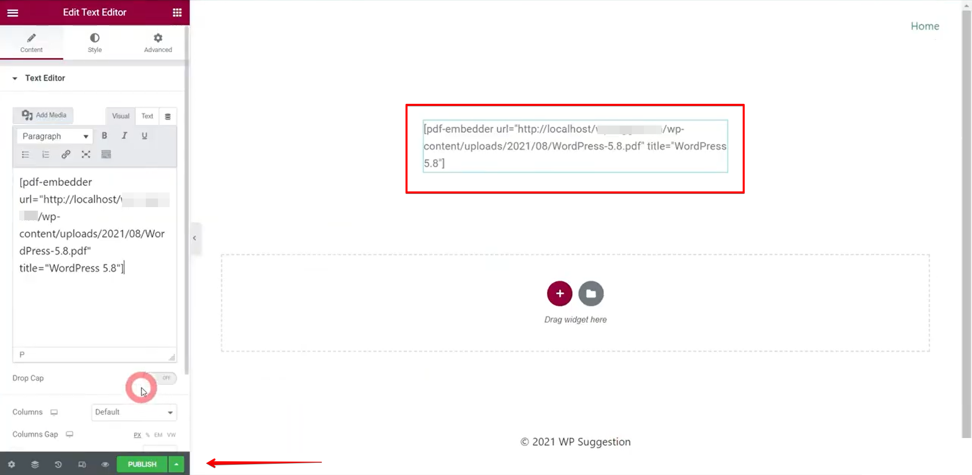 Click Publish to Embed the File Elementor WordPres