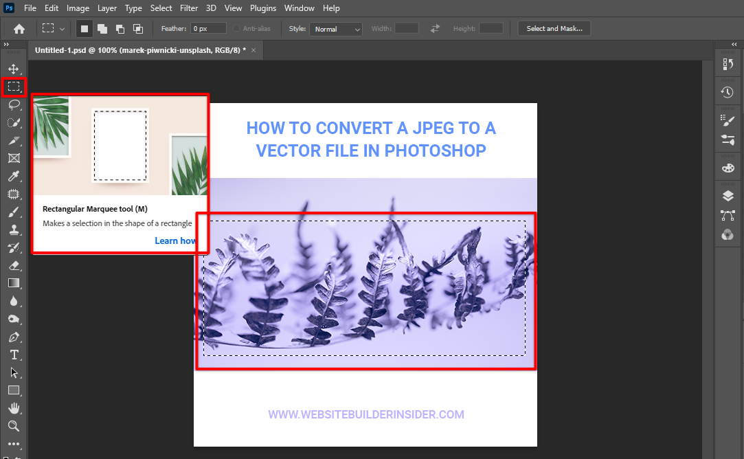 Use Photoshop rectangular marquee tool to select specific area of an image