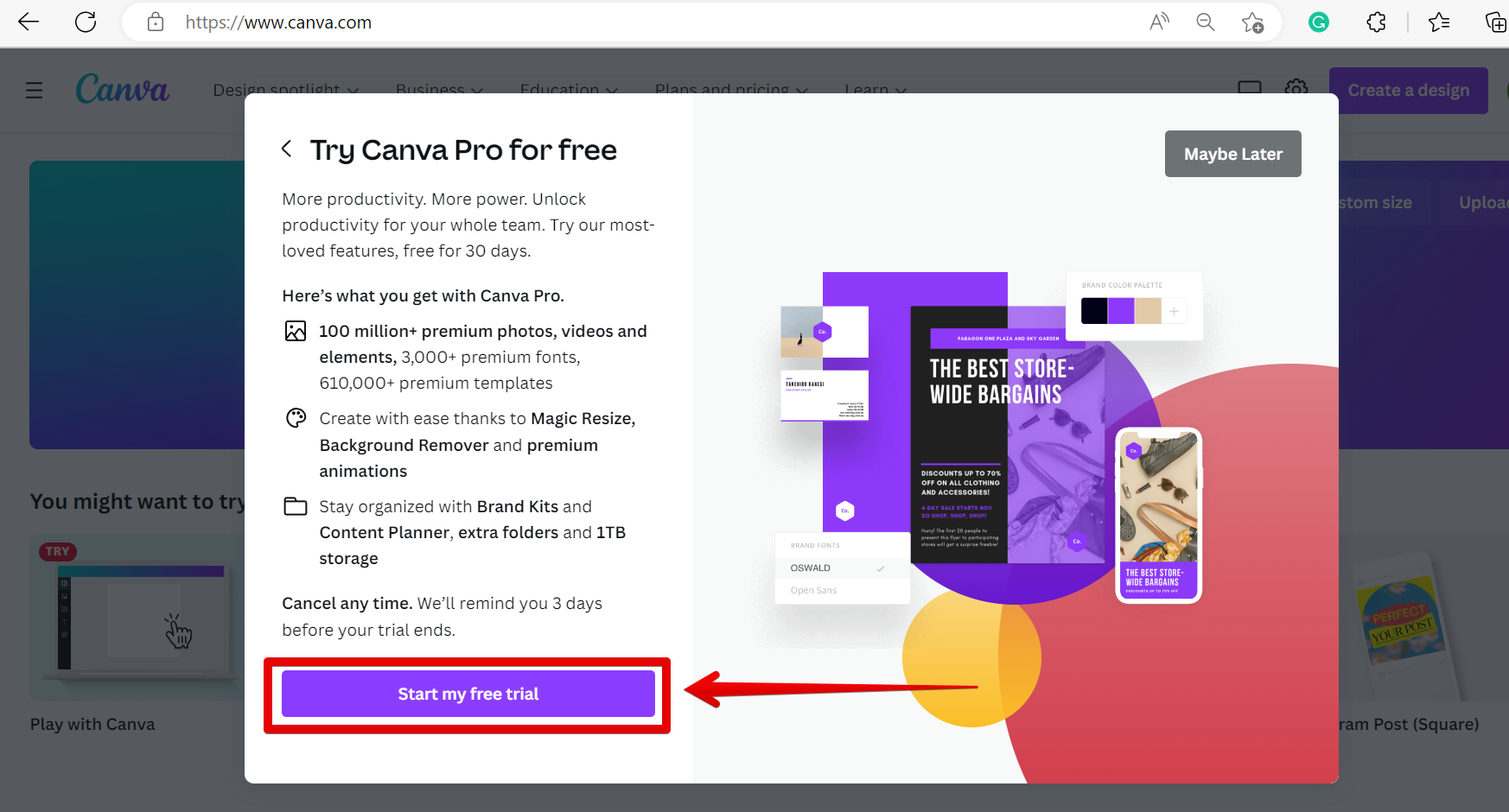 How to get Canva Pro for free in 2023 - Brandveda