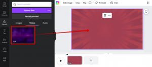 Can You Make Transparent Video in Canva? - WebsiteBuilderInsider