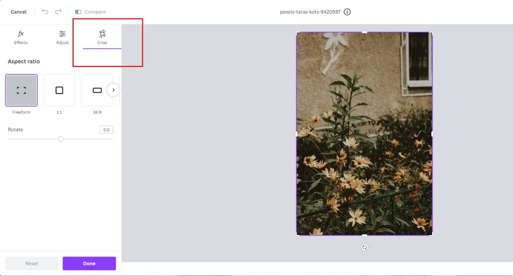 crop option in edit photo feature in Canva