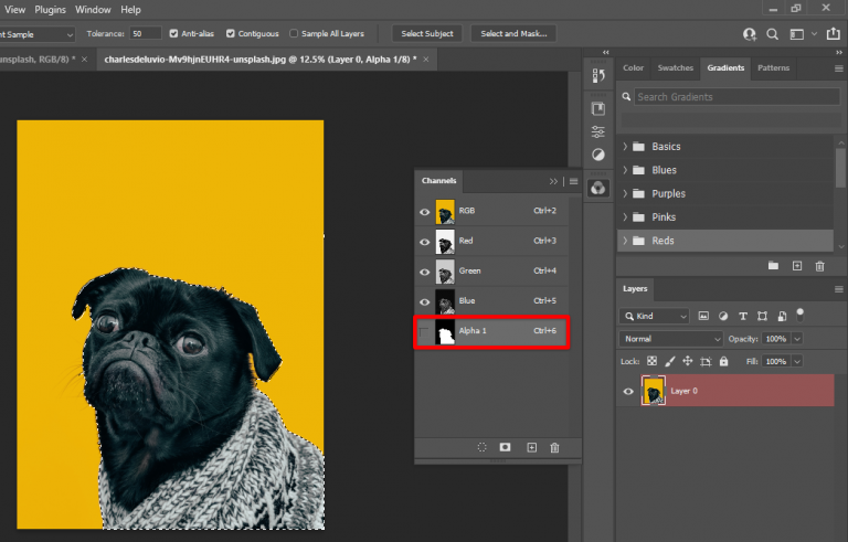 Why Is My PNG Not Transparent Photoshop WebsiteBuilderInsider Why Is My PNG Not Transparent Photoshop WebsiteBuilderInsider