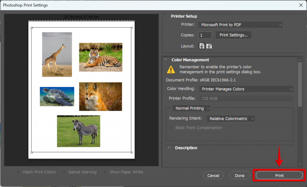 How Do I Print Multiple Images on One Page in
