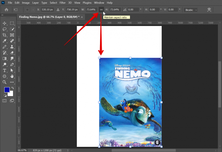 How Do You Keep Proportions in When Resizing