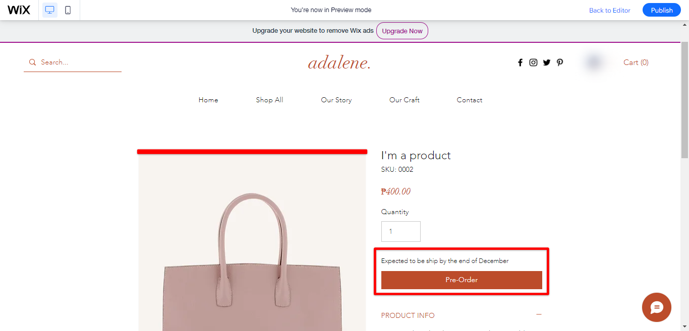 Can You Set Up Pre Orders on Wix?