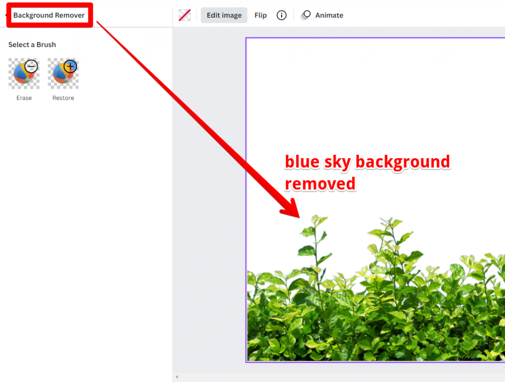 Background remover tool in Canva