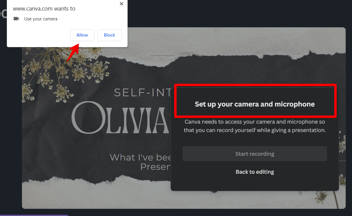 How Do I Add Audio to Canva Per Slide?