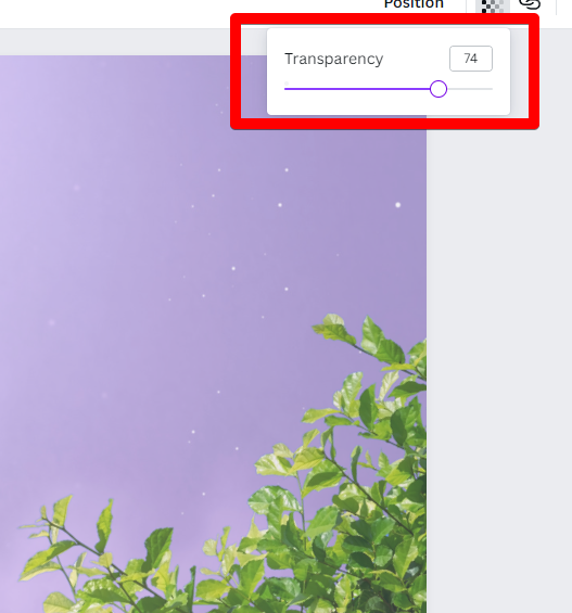 transparency button on Canva